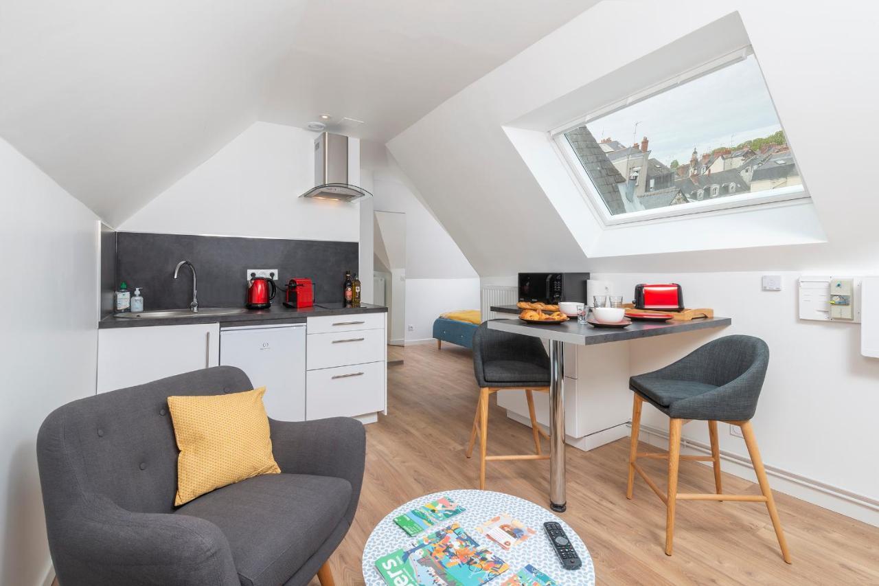 Appartements Lumineux En Coeur De Ville Angers Room photo